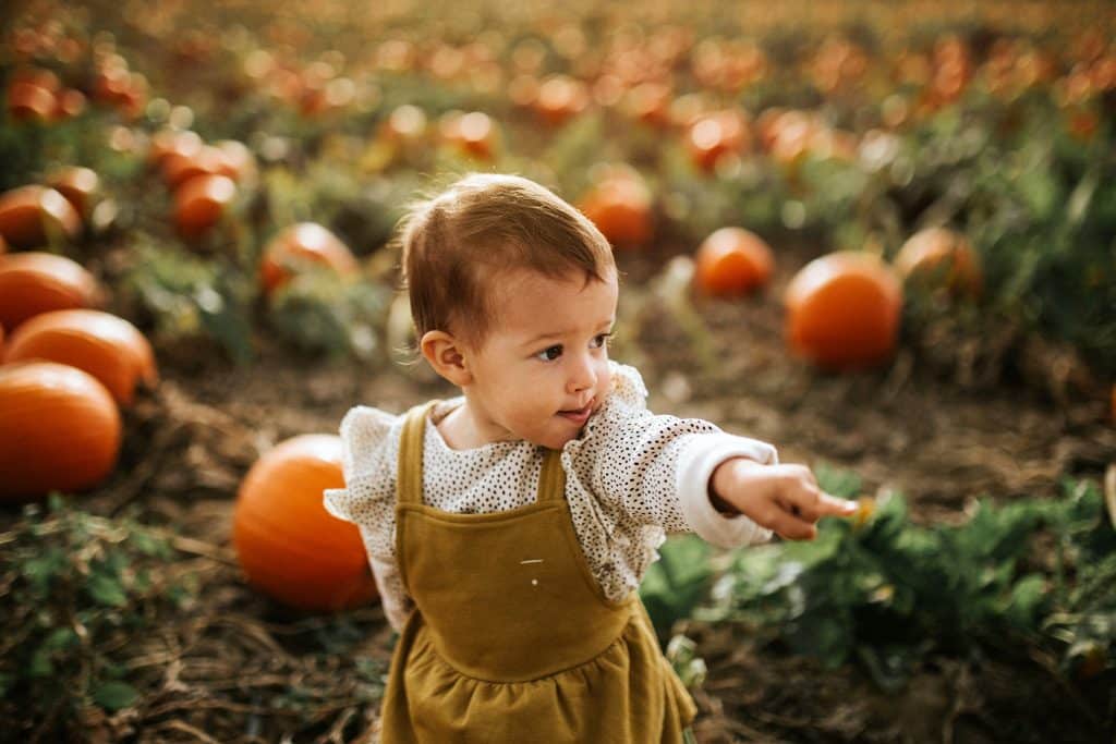 Fotostudio Thomas in Mannheim und Mutterstadt macht Kinderbilder auf dem Feld.